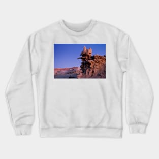 The Witch Crewneck Sweatshirt